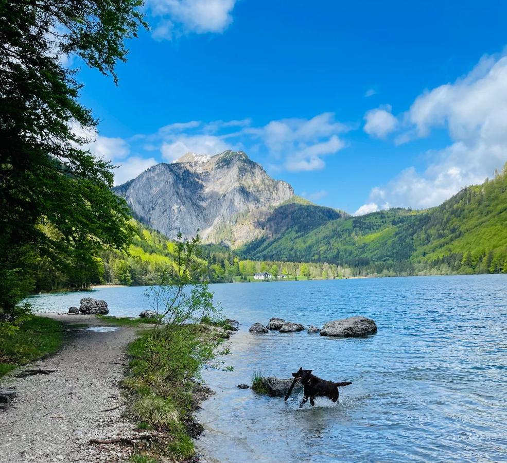 Kainzleitenhof Nachdemsee Eksteriør billede